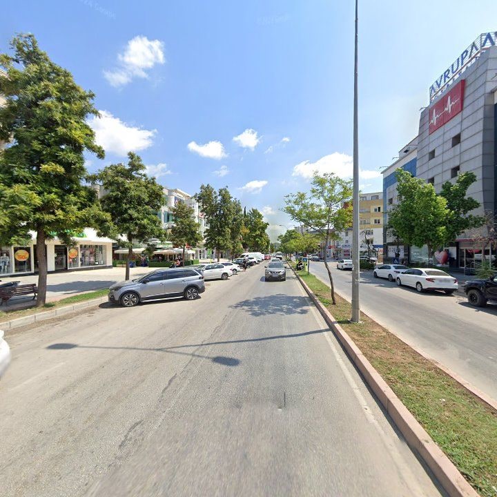 Fotoğraf 7