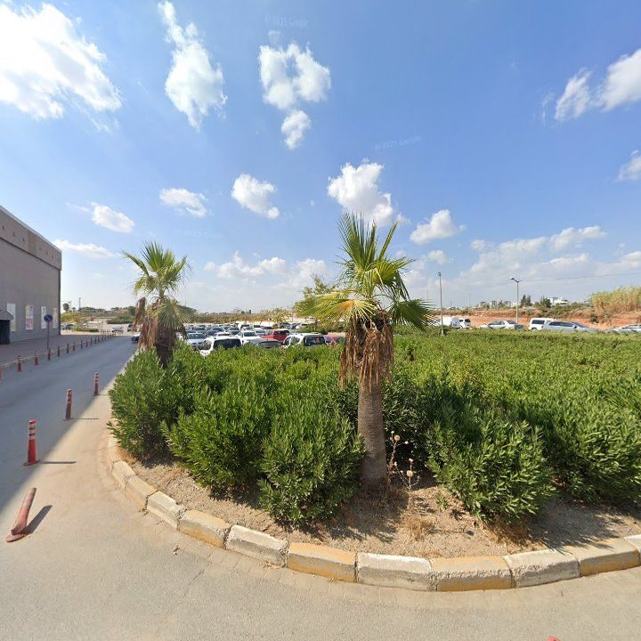 Fotoğraf 9