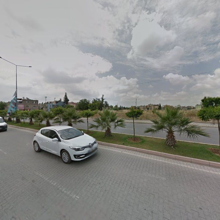 Fotoğraf 8