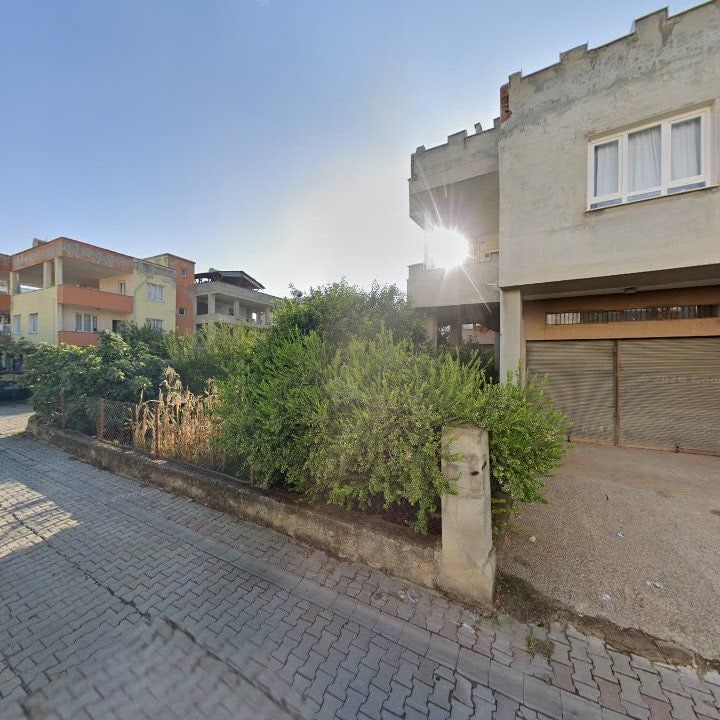 Fotoğraf 7