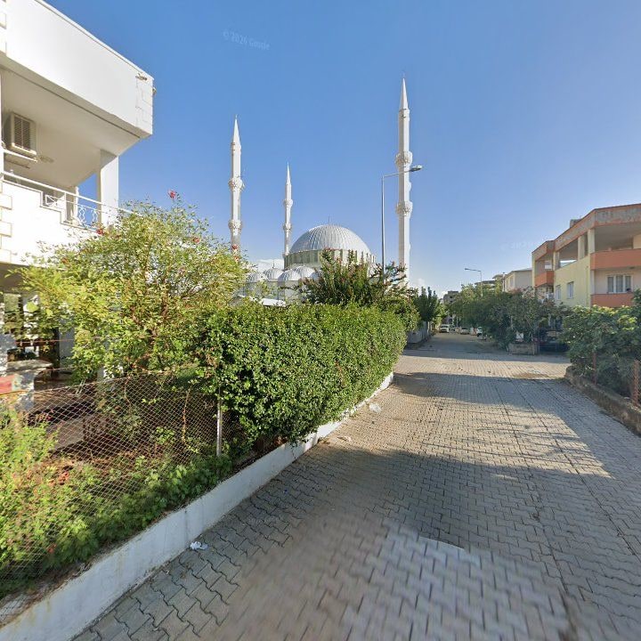Fotoğraf 10