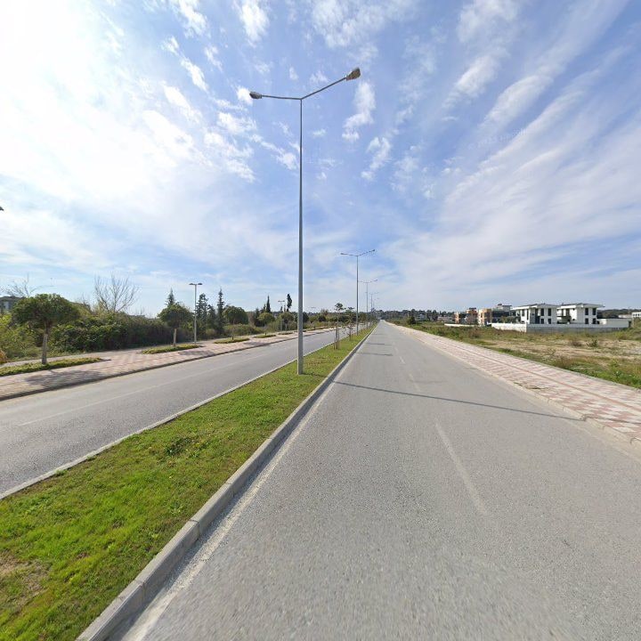 Fotoğraf 12