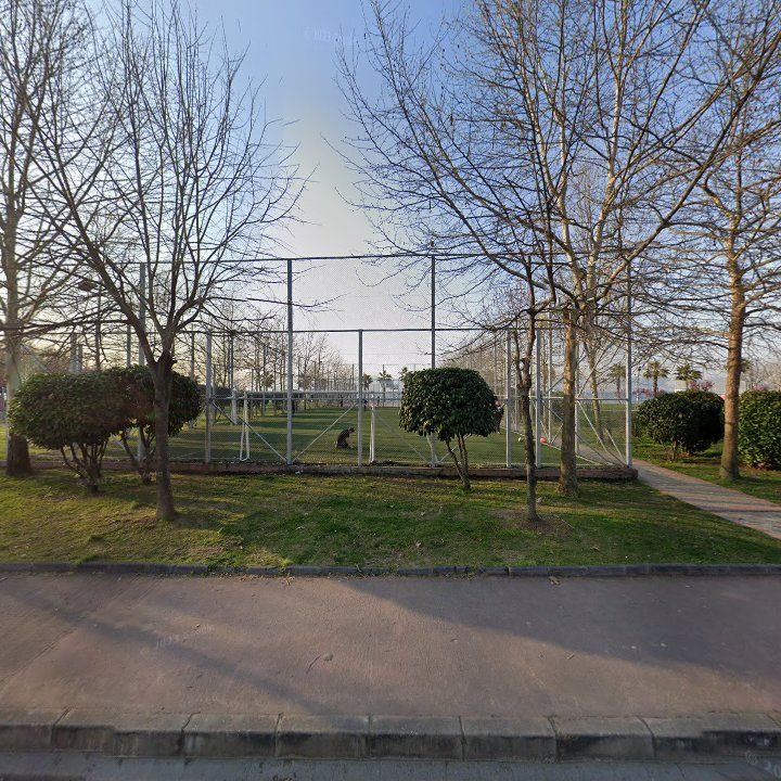 Fotoğraf 11