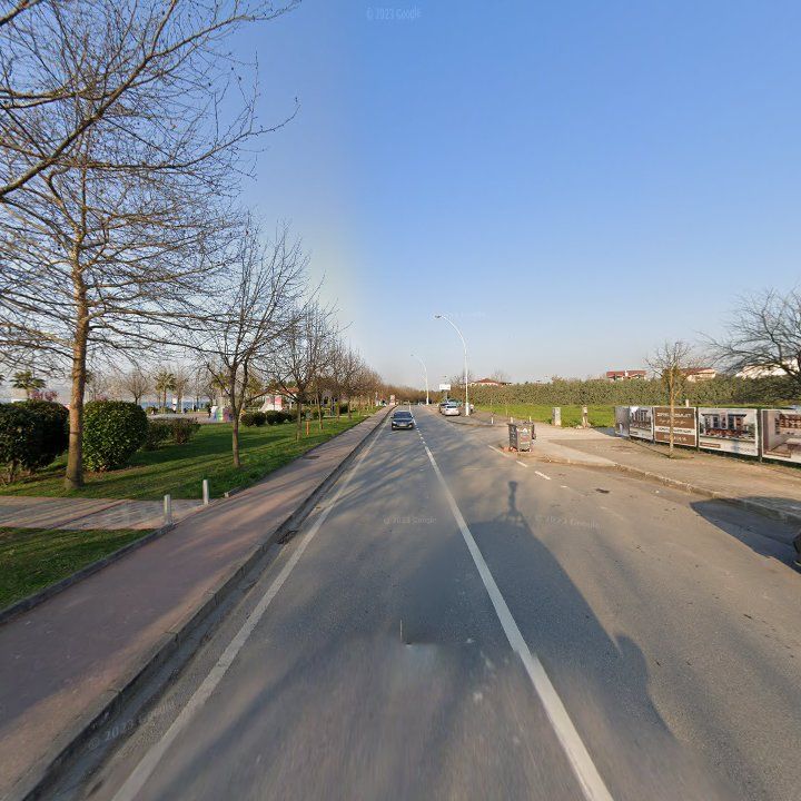 Fotoğraf 12