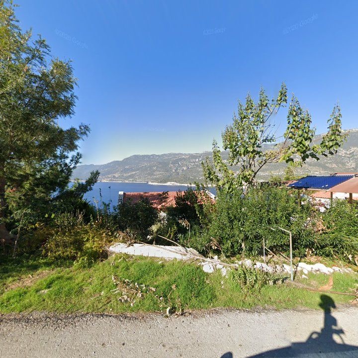 Fotoğraf 10