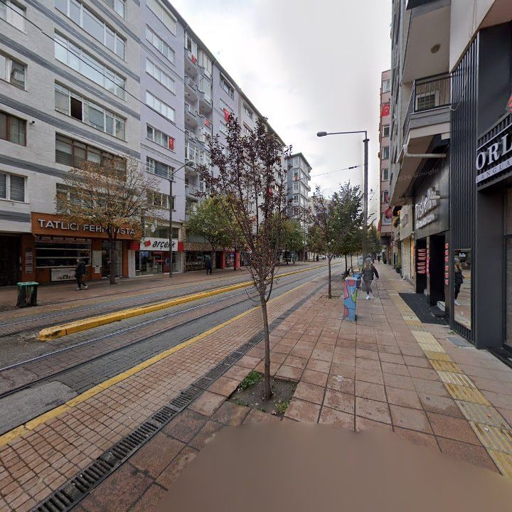 Fotoğraf 13