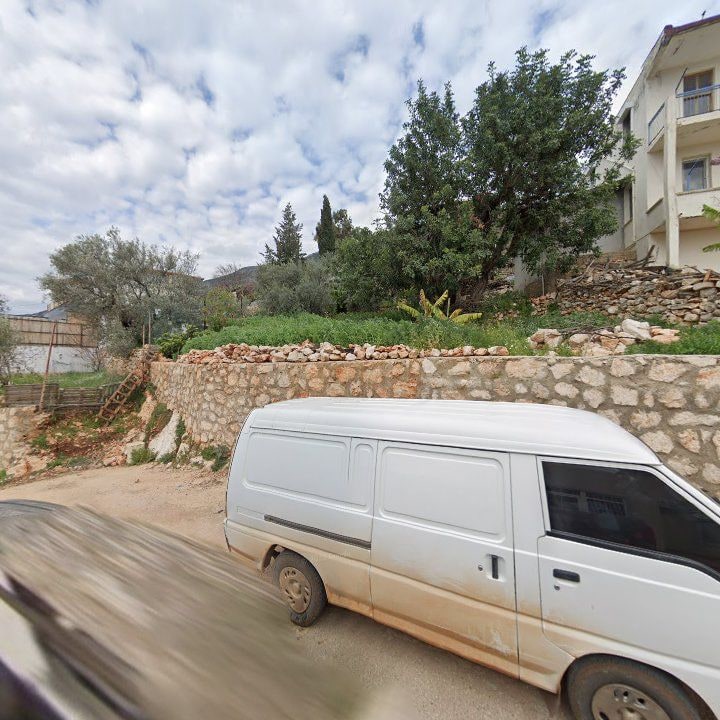 Fotoğraf 10