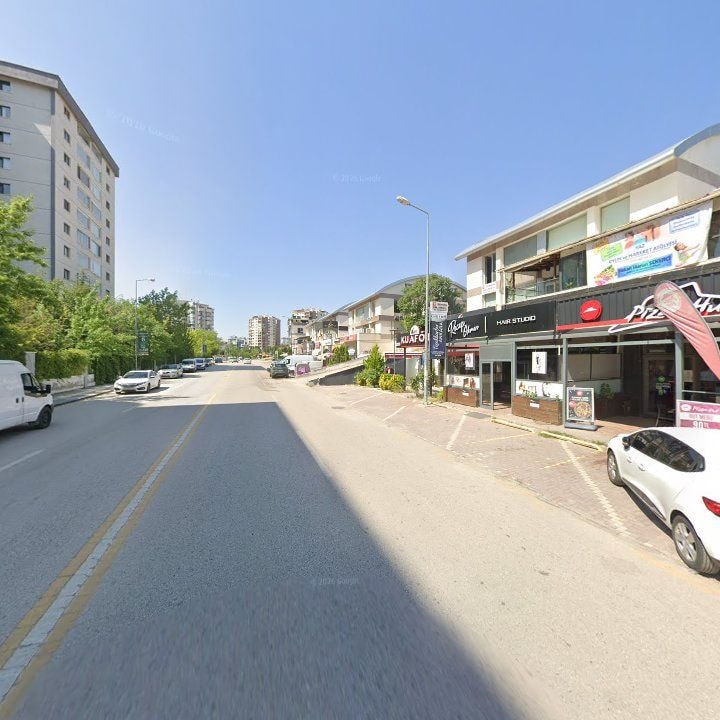 Fotoğraf 7