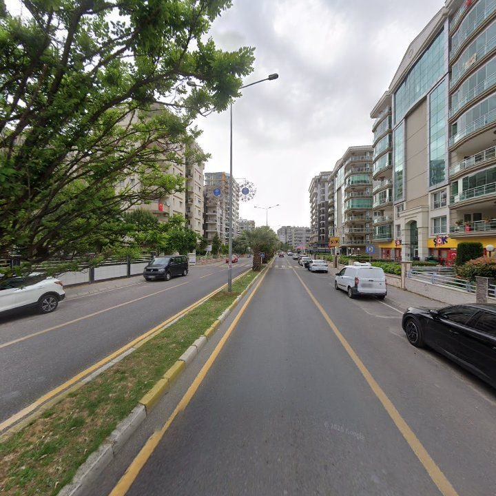 Fotoğraf 10