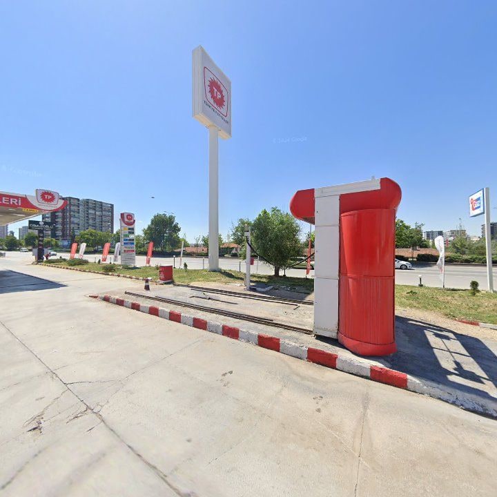 Fotoğraf 7