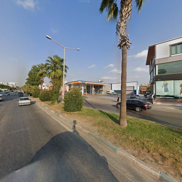 Fotoğraf 6