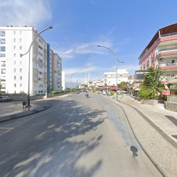Fotoğraf 8