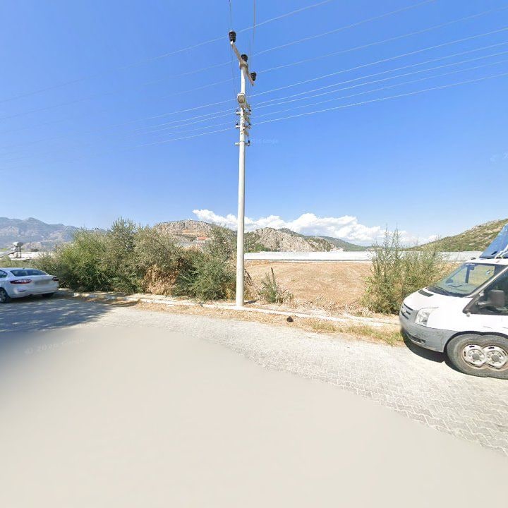 Fotoğraf 9