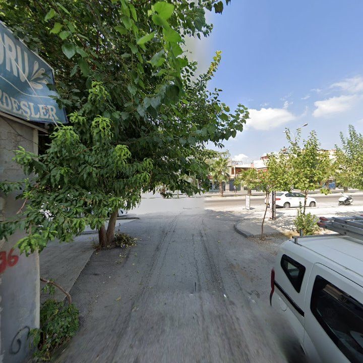Fotoğraf 3