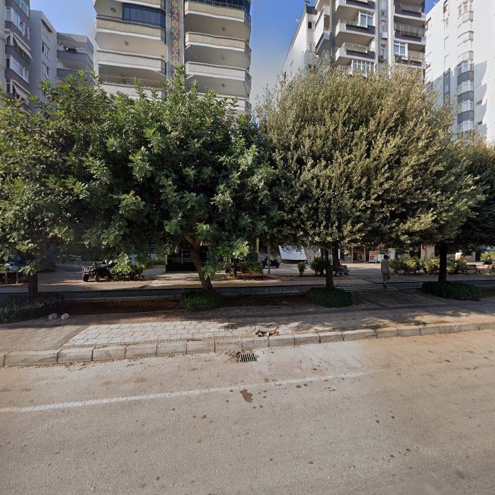 Fotoğraf 8