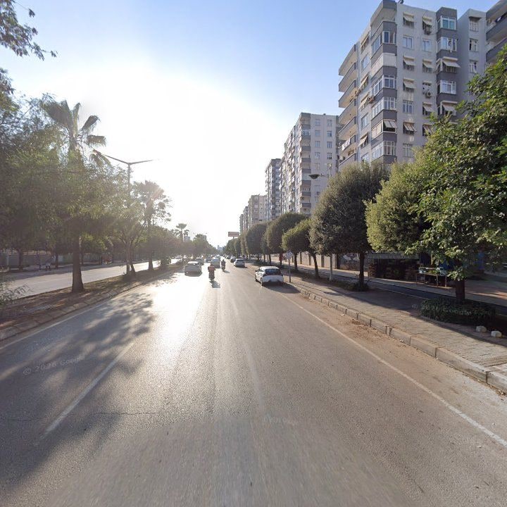 Fotoğraf 11