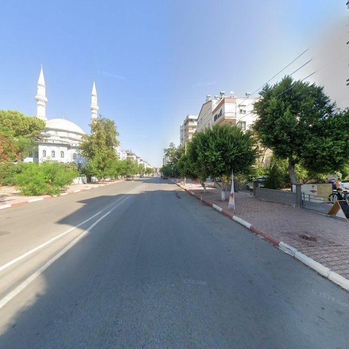 Fotoğraf 8