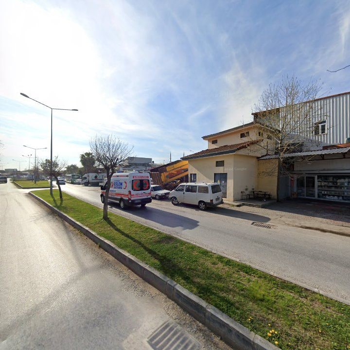 Fotoğraf 10