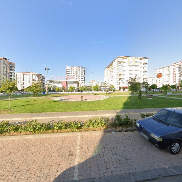 Fotoğraf 7