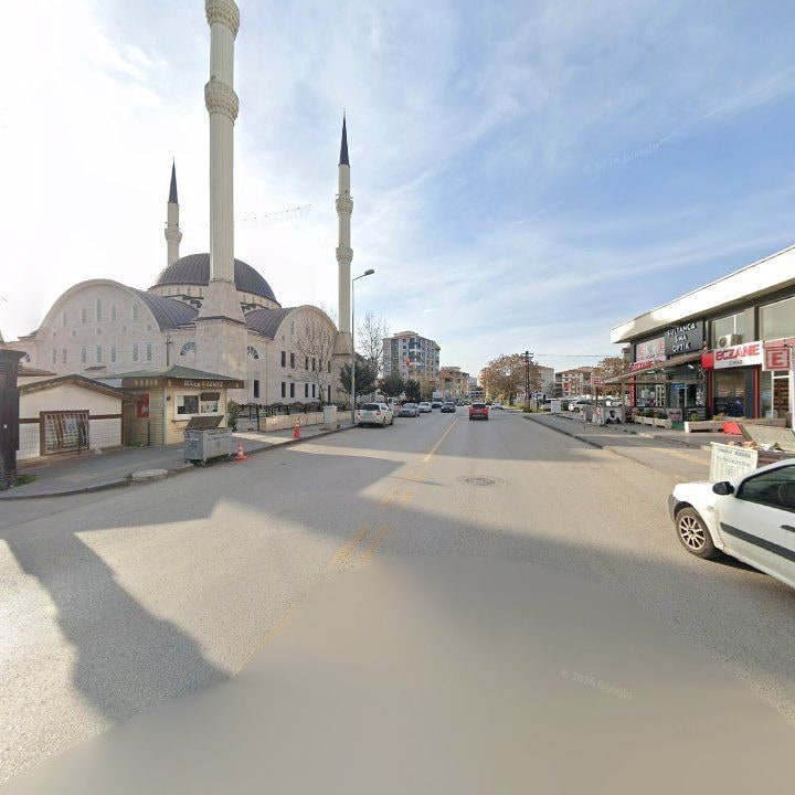 Fotoğraf 9