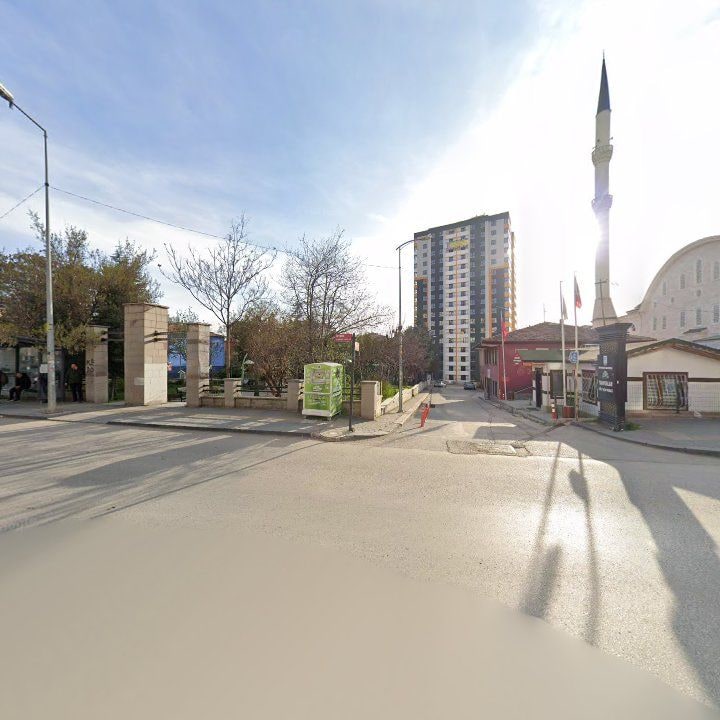 Fotoğraf 8