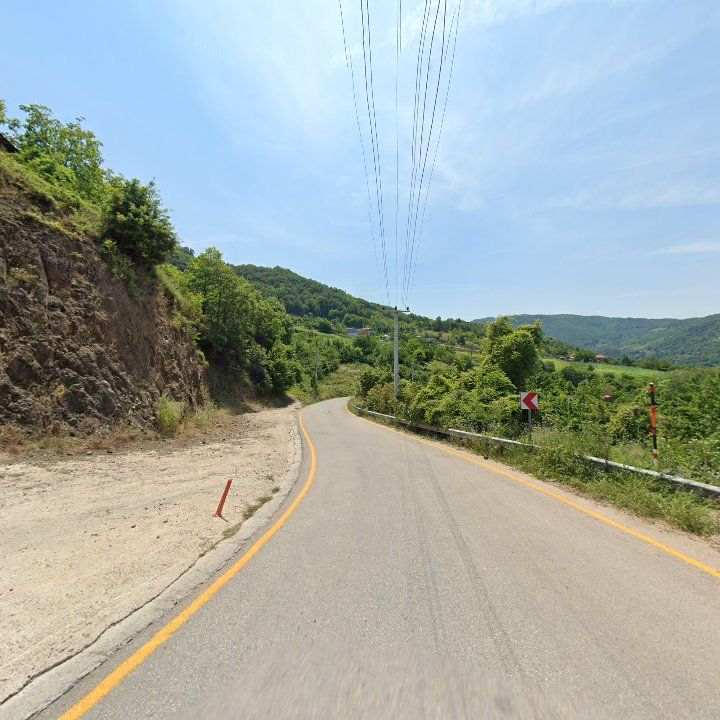 Fotoğraf 12
