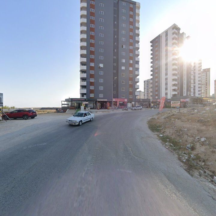 Fotoğraf 7