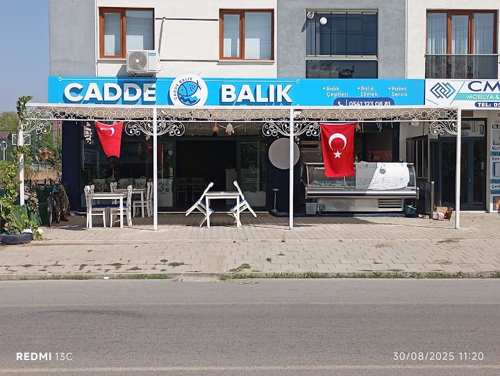 Cadde balık düzce