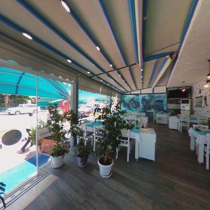 Fotoğraf 7