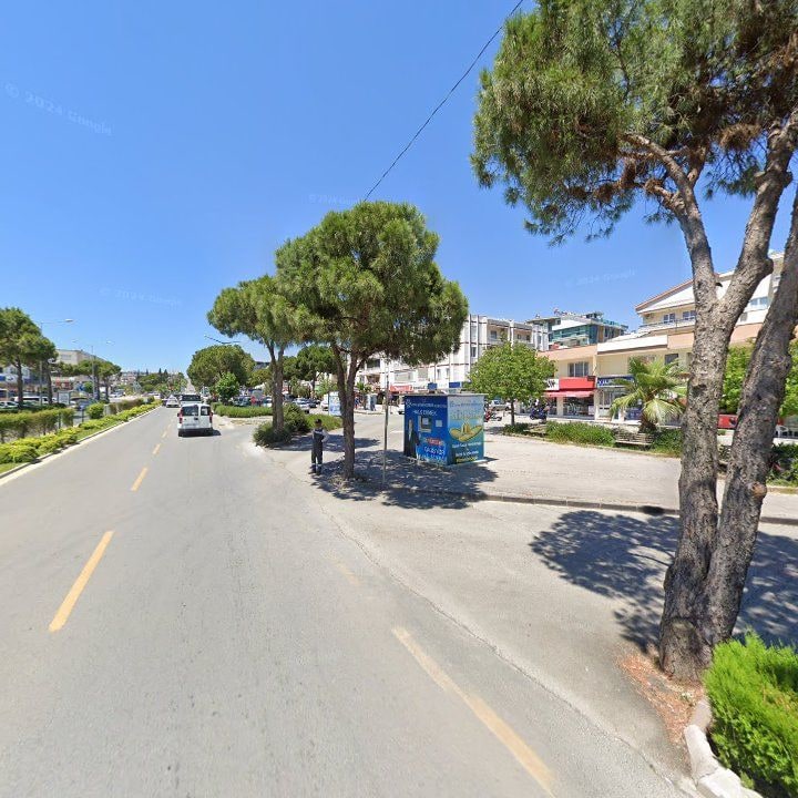 Fotoğraf 12