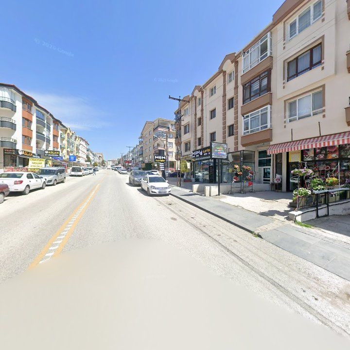 Fotoğraf 9