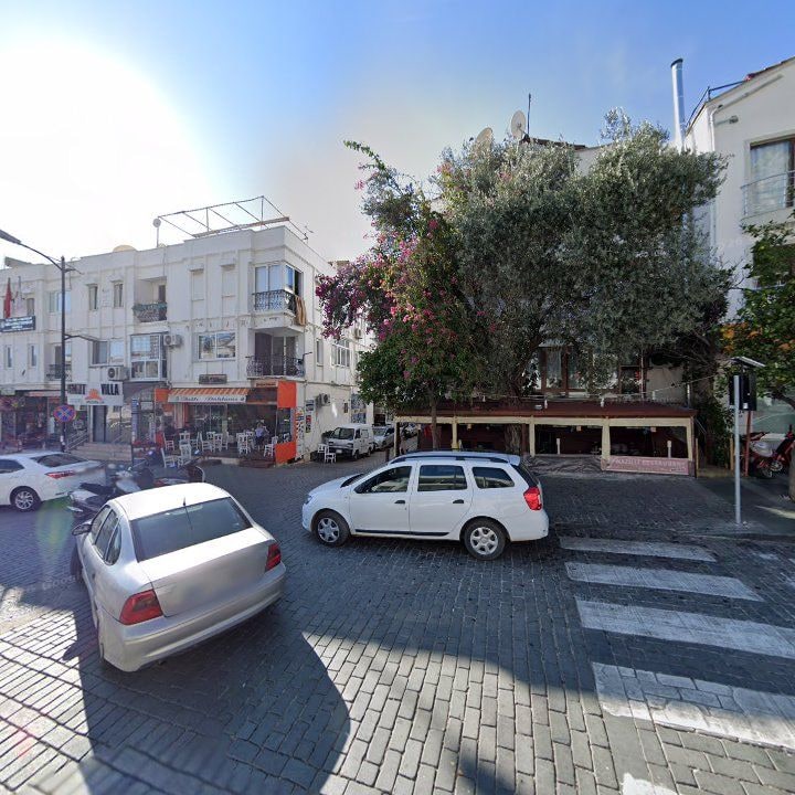 Fotoğraf 15