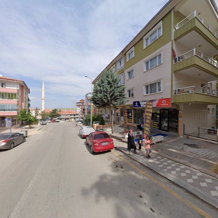 Fotoğraf 7