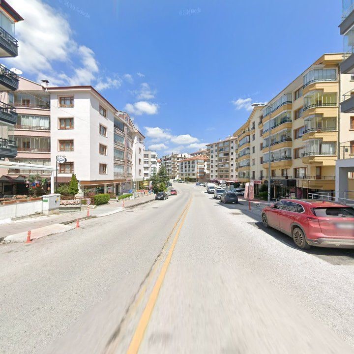 Fotoğraf 11
