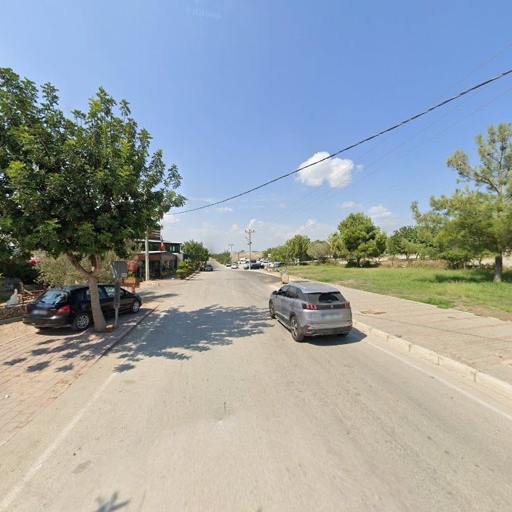 Fotoğraf 6