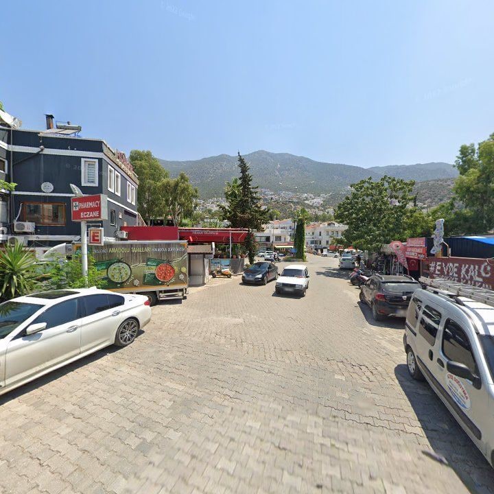 Fotoğraf 8