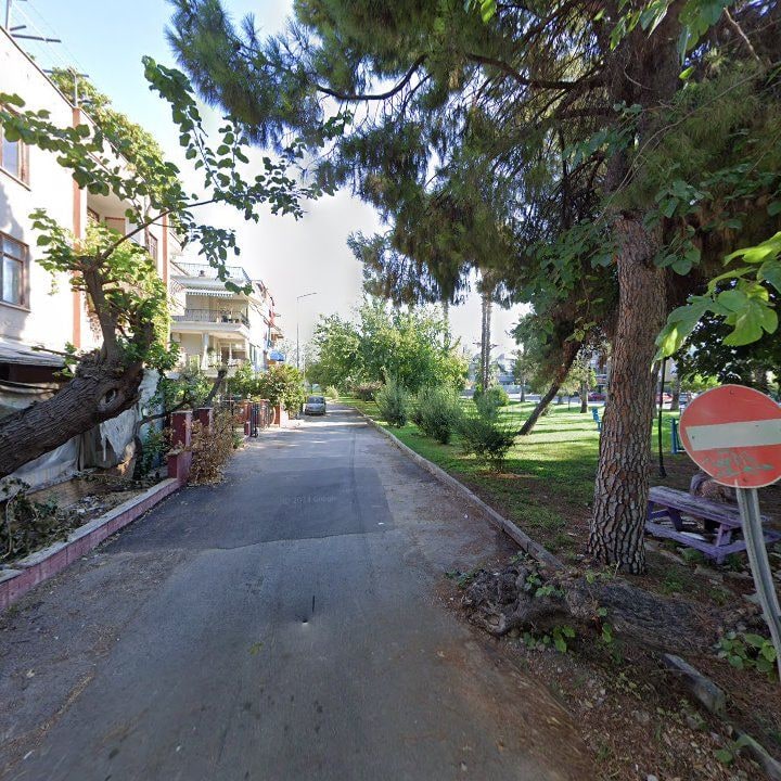 Fotoğraf 9
