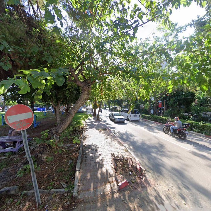 Fotoğraf 10
