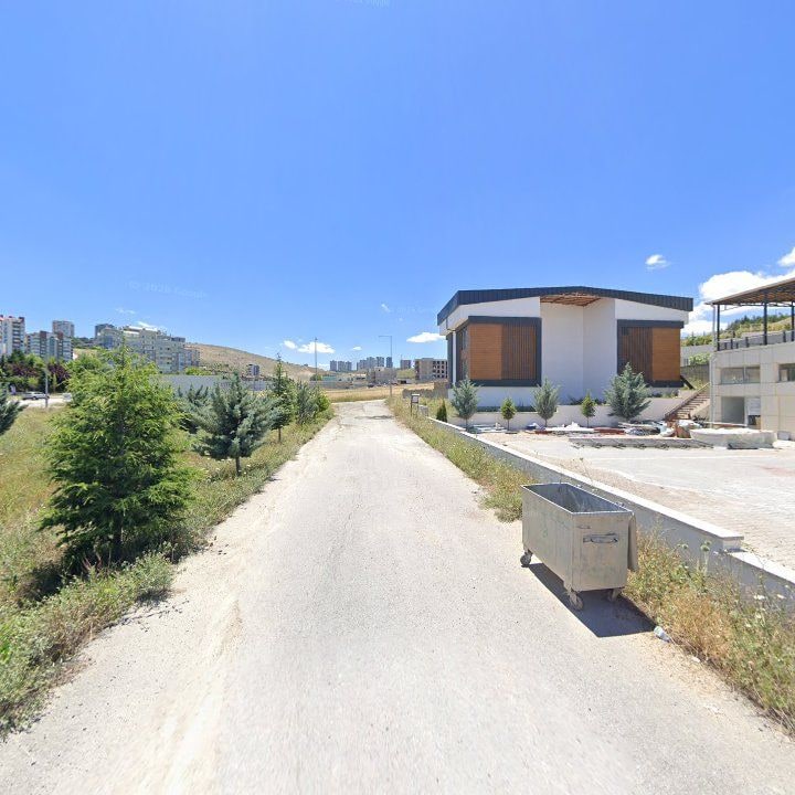 Fotoğraf 8