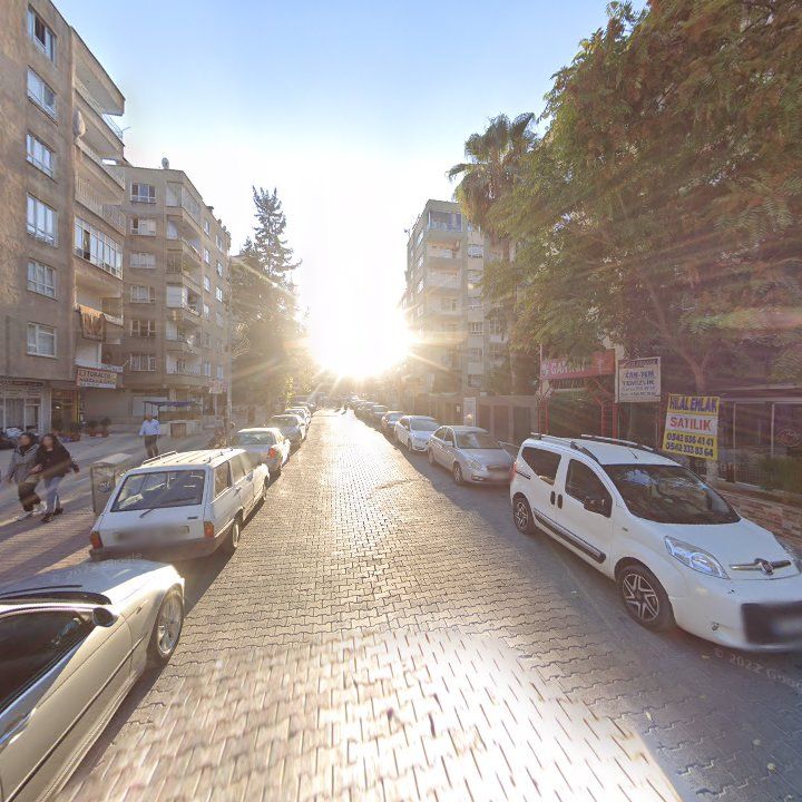 Fotoğraf 7