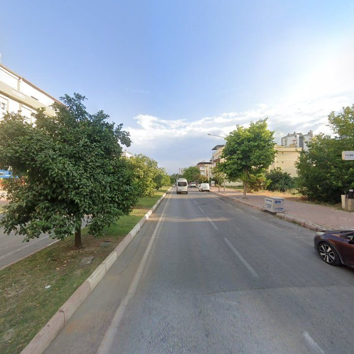 Fotoğraf 17