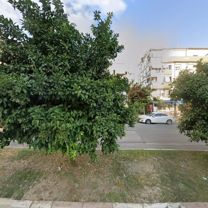 Fotoğraf 16