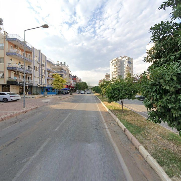 Fotoğraf 15