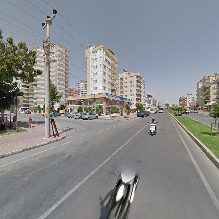 Fotoğraf 15