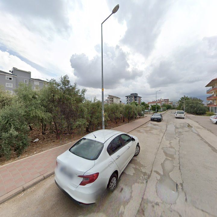 Fotoğraf 8