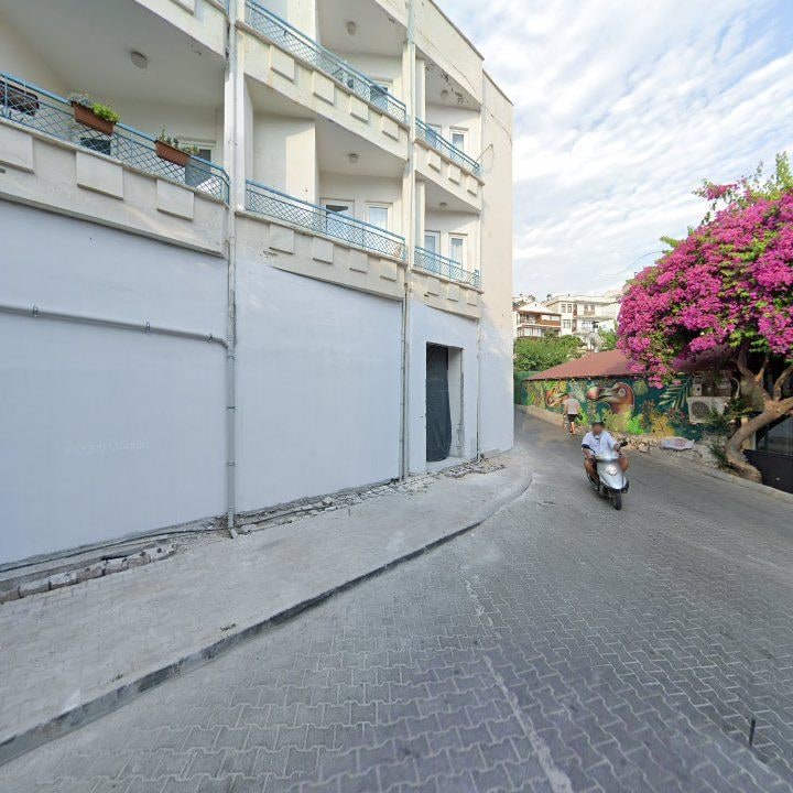 Fotoğraf 17