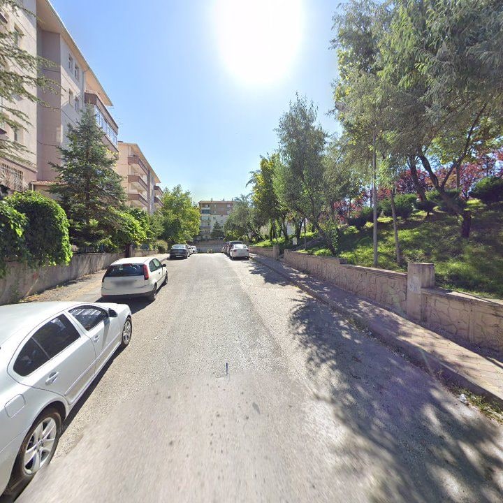 Fotoğraf 10
