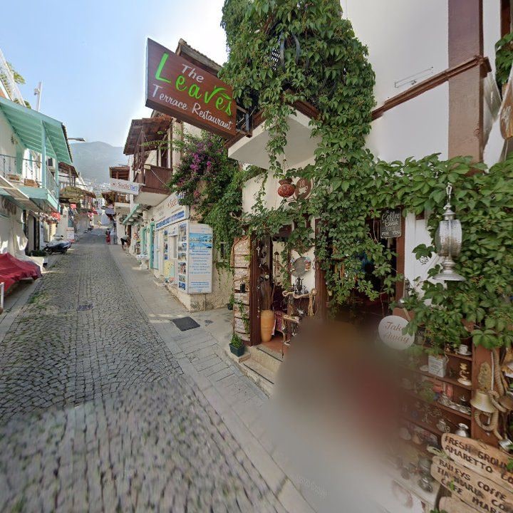 Fotoğraf 10
