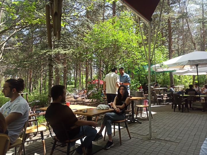 Cafe Des Chef-o