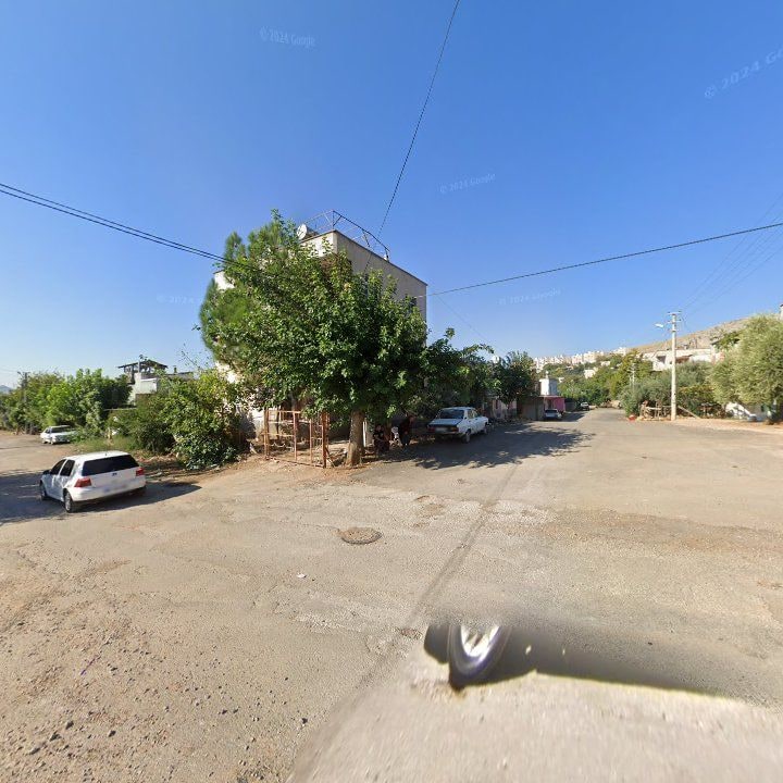 Fotoğraf 4